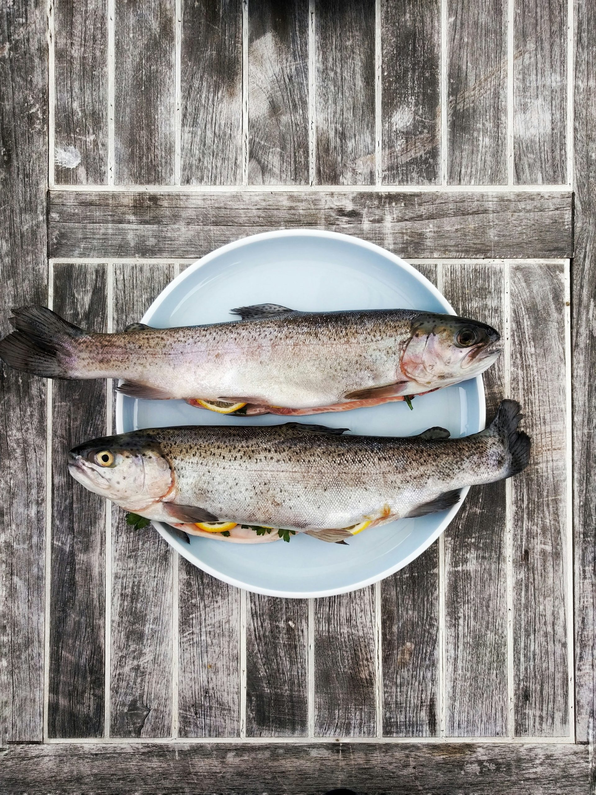 Shoutout for trout: why you won't find salmon on our menus - Queen