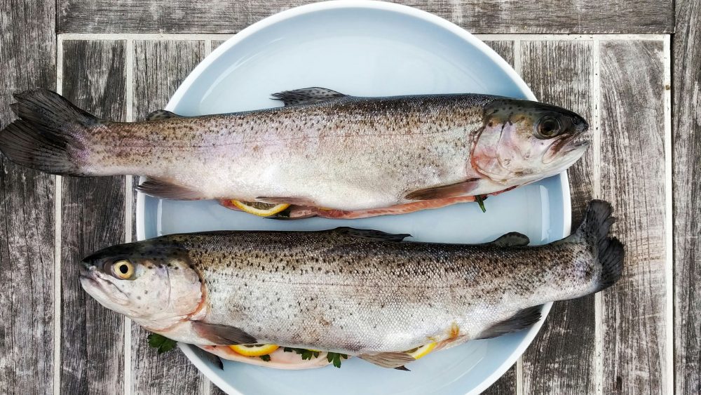 Queen and Whippet - Shoutout for trout: why you won’t find salmon on our menus